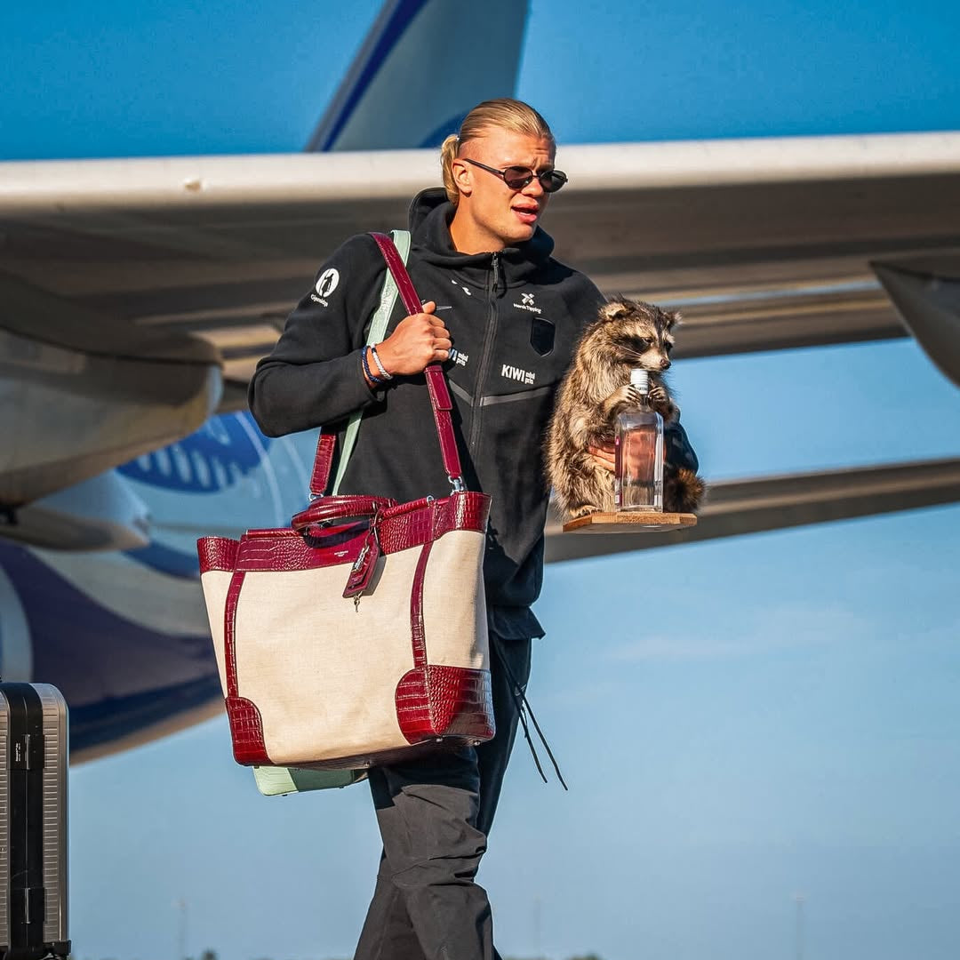 A man in a black hoodie and sunglasses walks on an airport tarmac carrying a large cream canvas tote bag with burgundy trim, while a raccoon sits on a tray holding a drink.